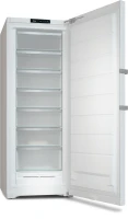 Miele FN 4778 C
